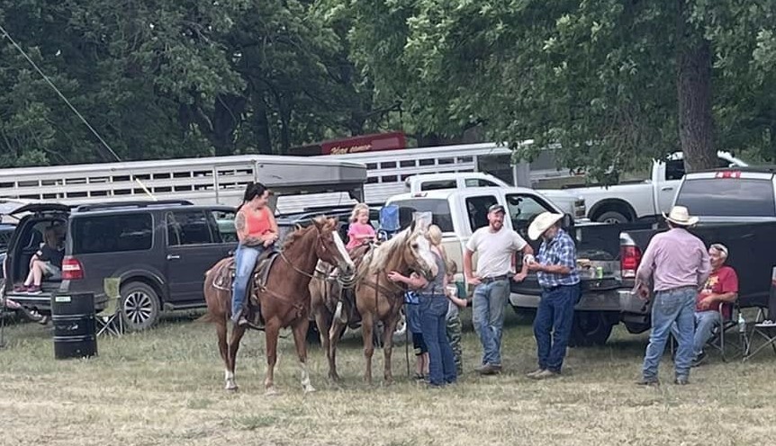 Horsese in Hankinson Hills